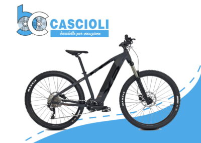 BC Cascioli